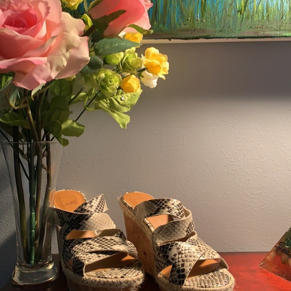 Shoes - Women’s Shoes